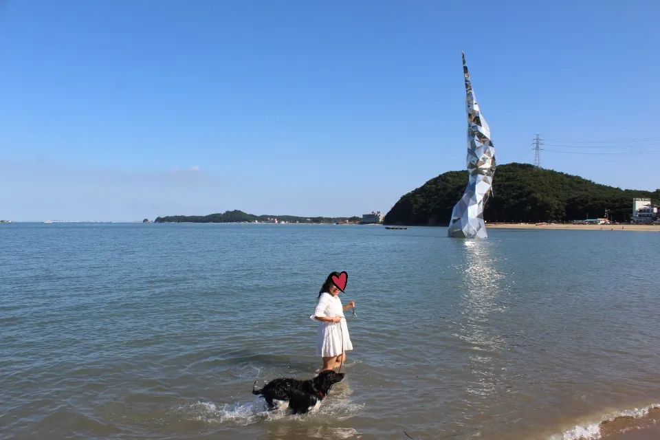 Beach fun with favorite dog :)