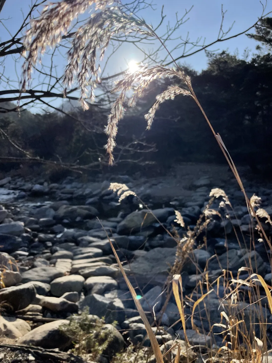 Between autumn and winter in Gangwondo Inje