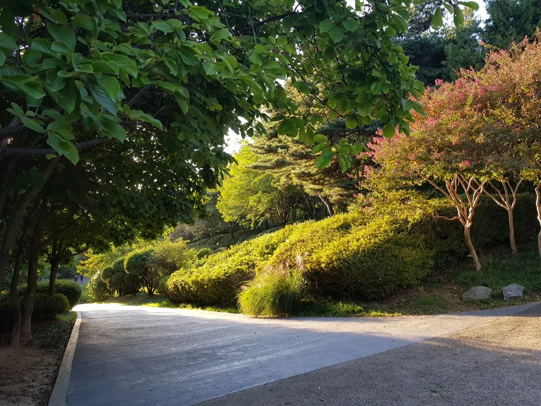 Namsan park, Seoul