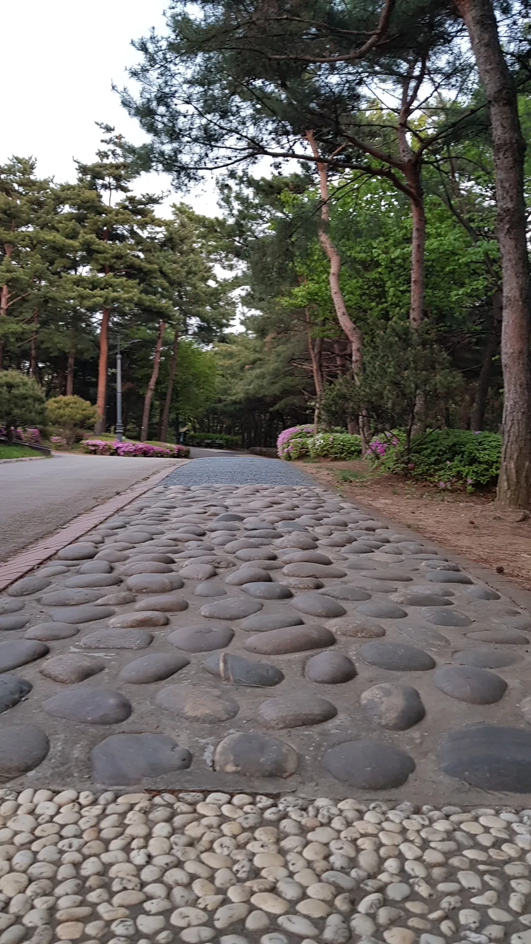 Namsan park reflexology path